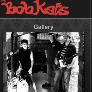 BobKats