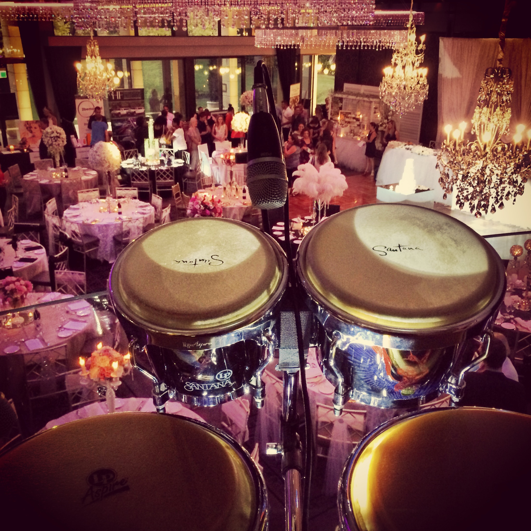 Bongo Player /Percussionist (Mark on Drums)