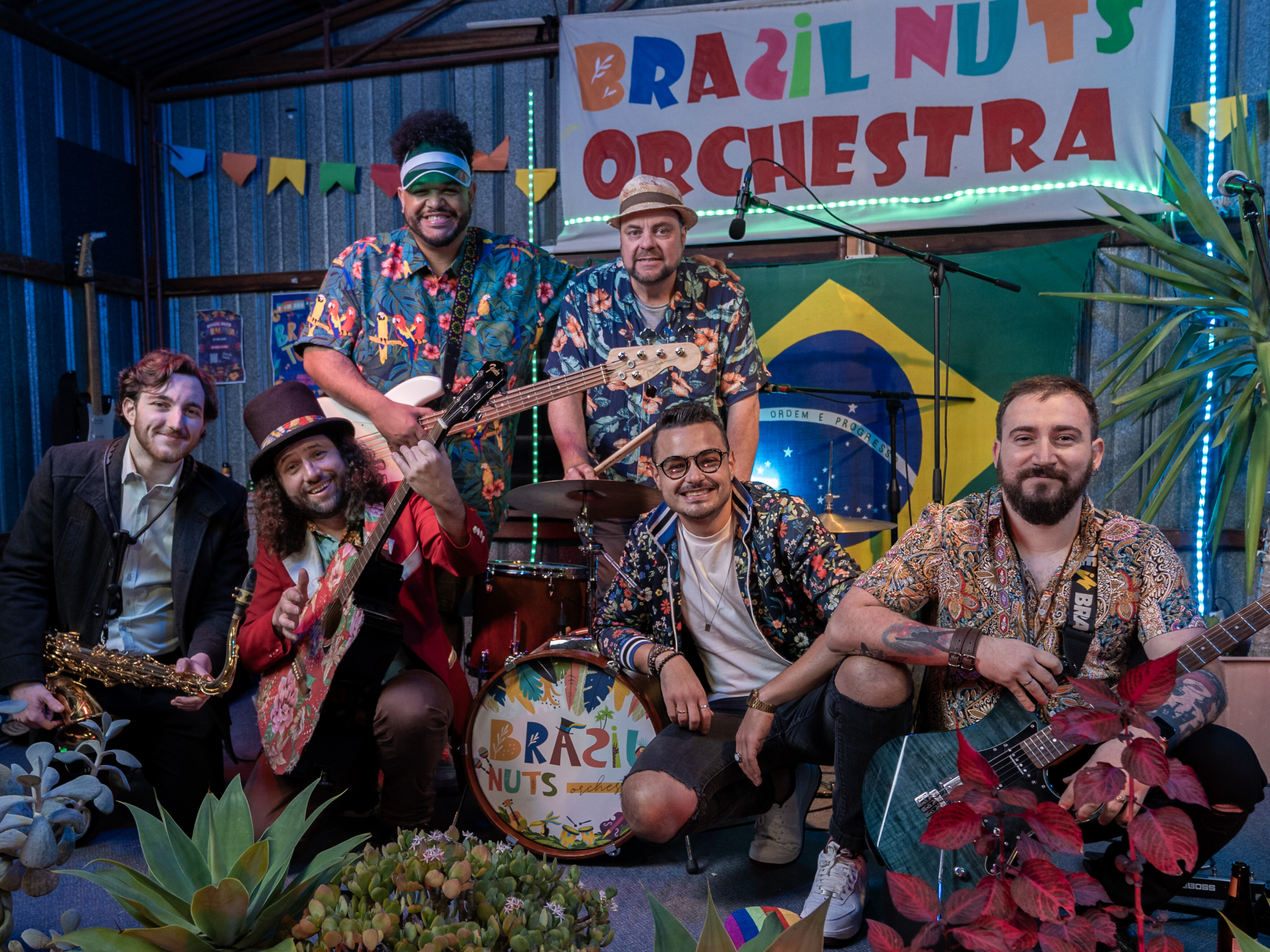 Brazil Nuts