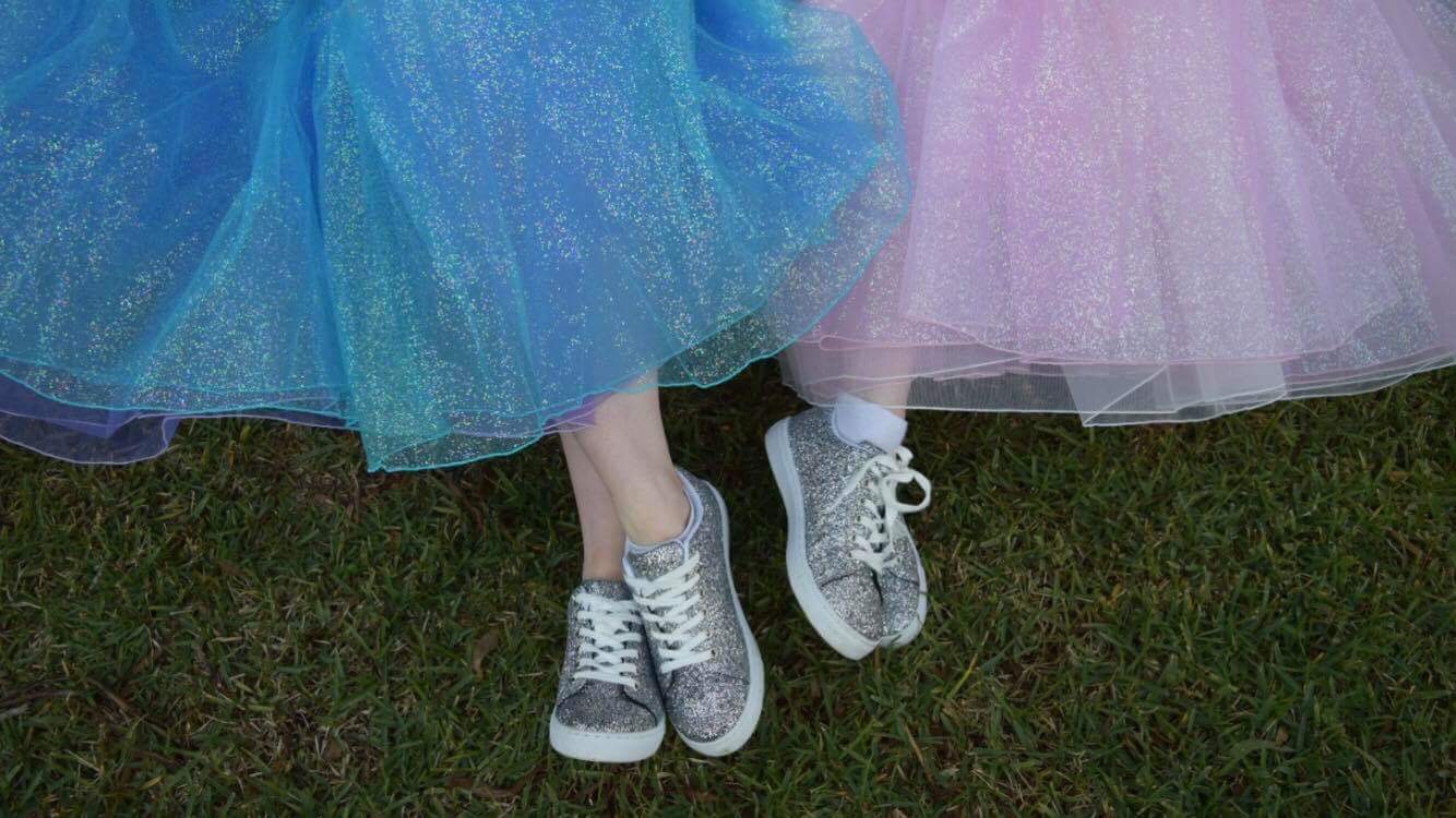 Fairy Wings and Princess Things