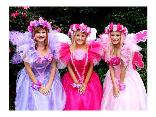 Fairy Wishes