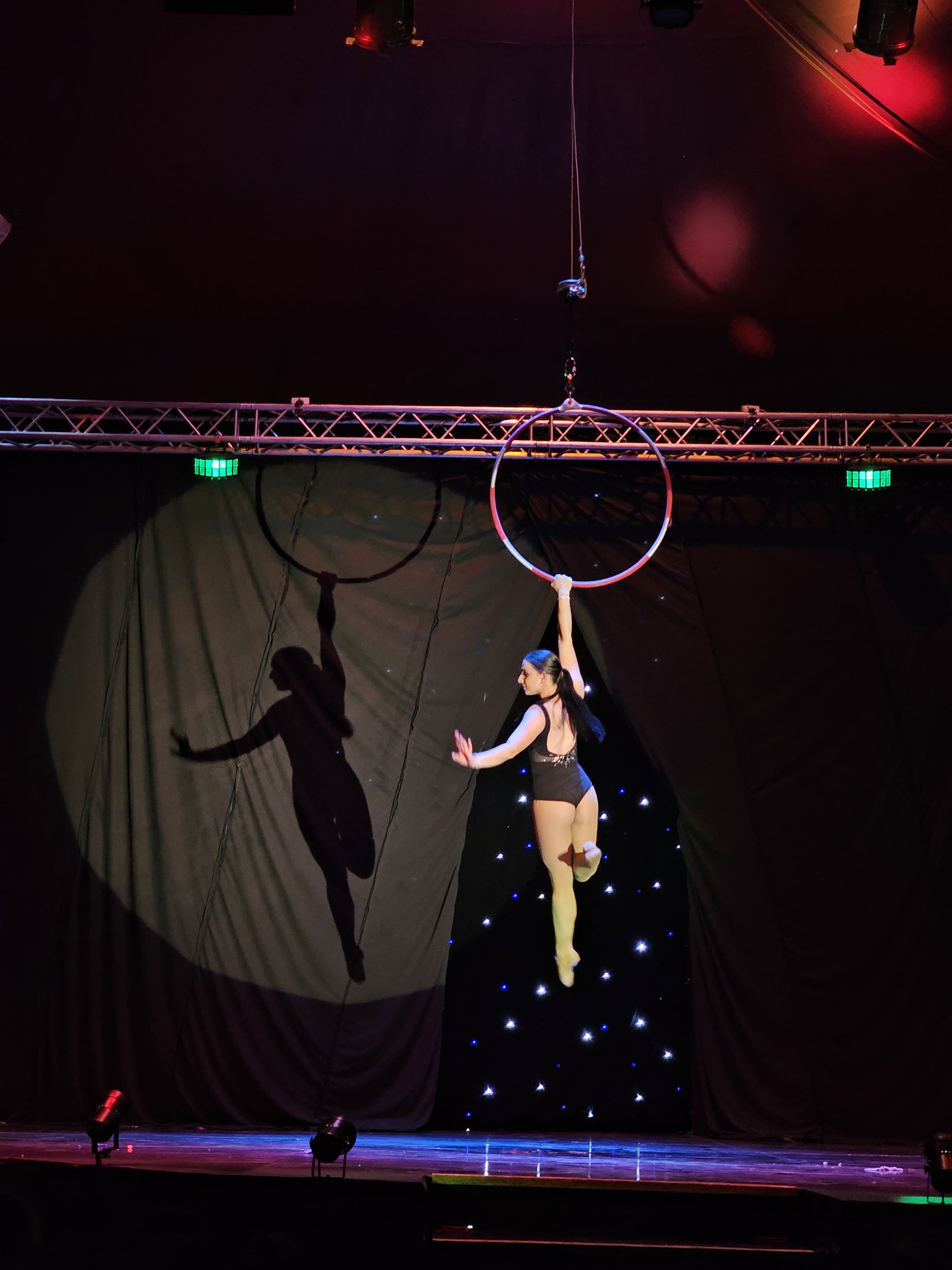 Circus Acts: Aerial Lana
