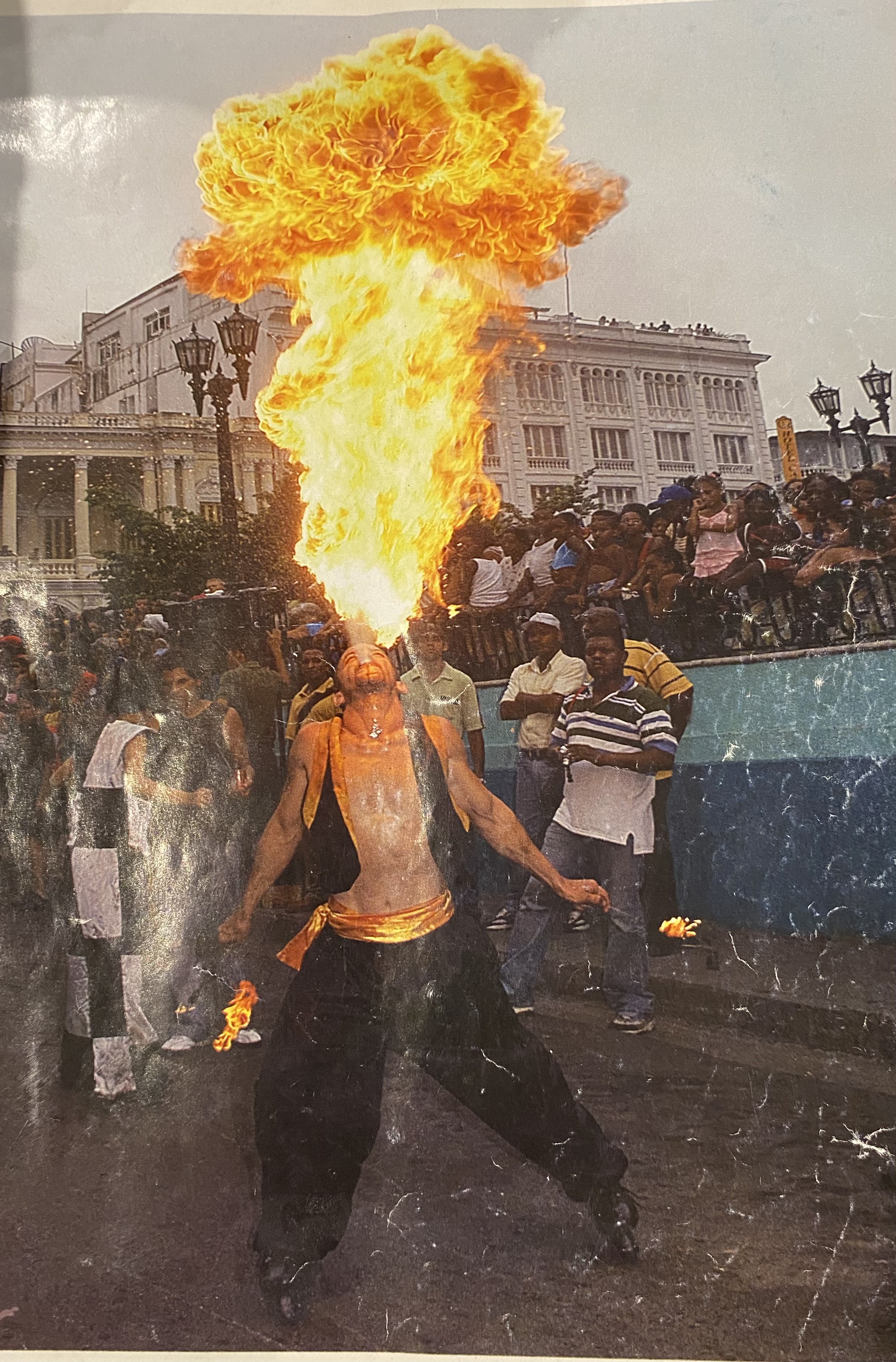 Cuban Dragon