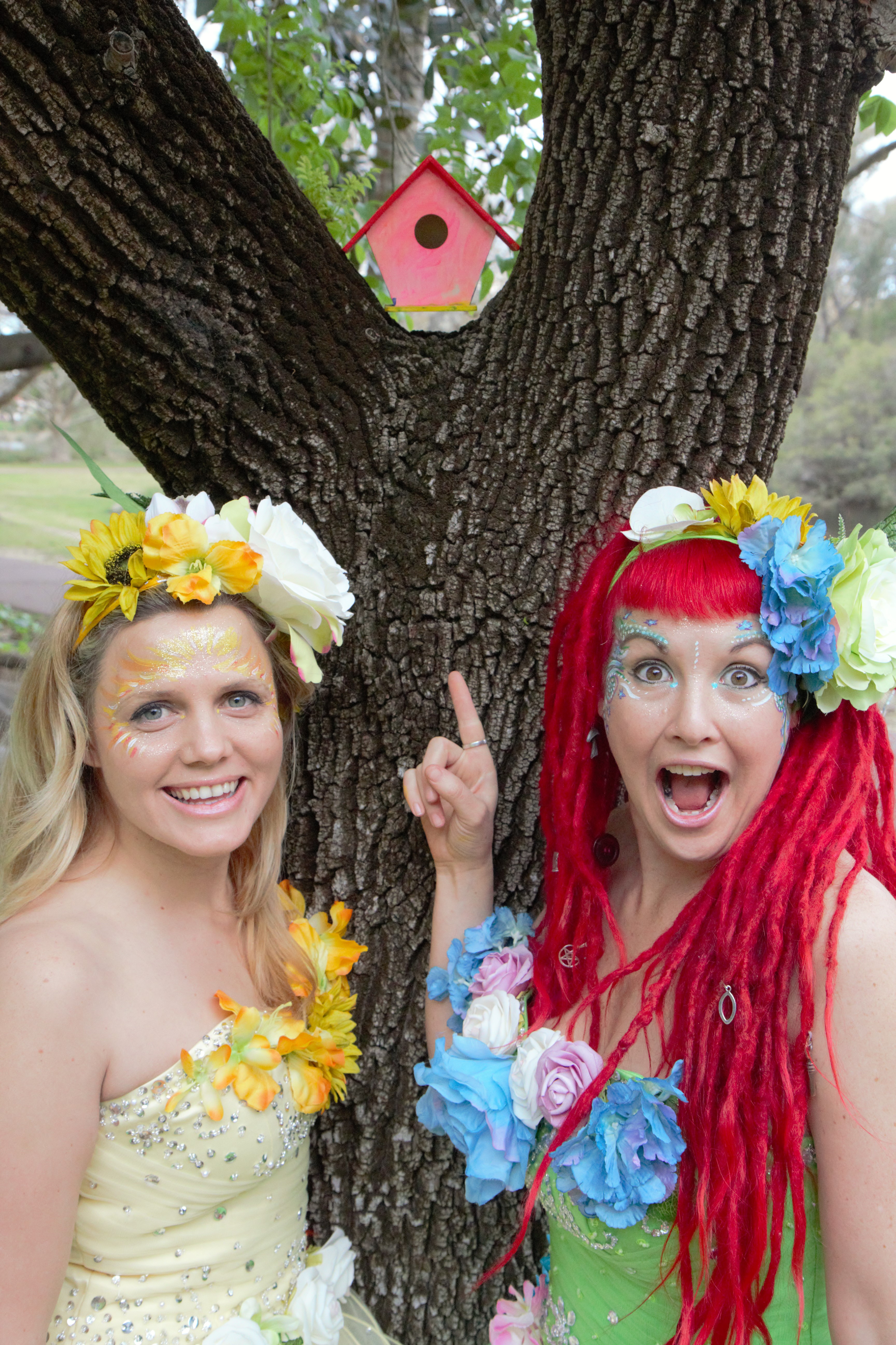 Eco Faeries