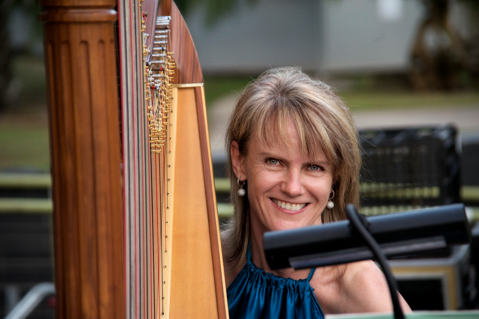 The Occaisional Harp