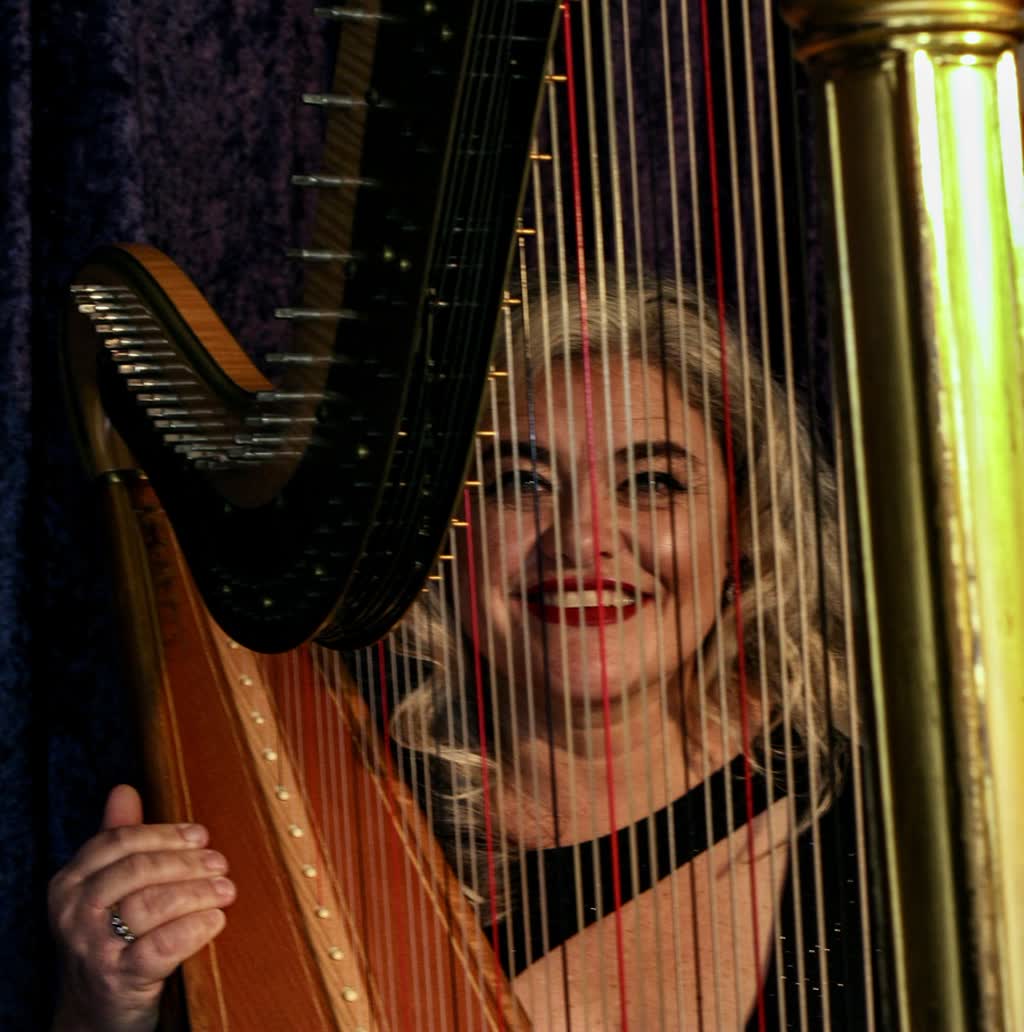 Wedded to the Harp