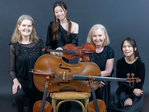 Paradiso Strings