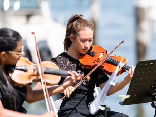 Vicello Strings