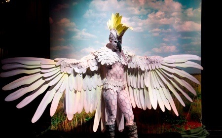 Cockatoo