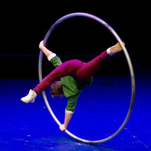 Cyr Wheel - Daniel