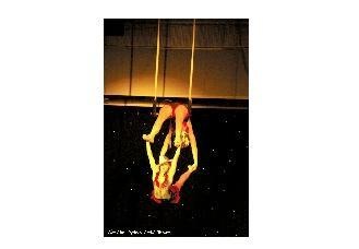 Double Trapeze