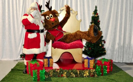 Christmas Reindeers
