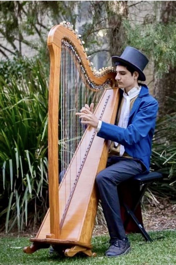 Harpist John