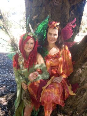 Faerie Force