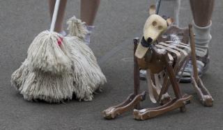 Gone to the Dogs