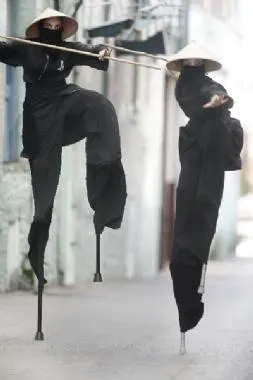 10 Foot Tall Ninjas