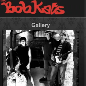 BobKats