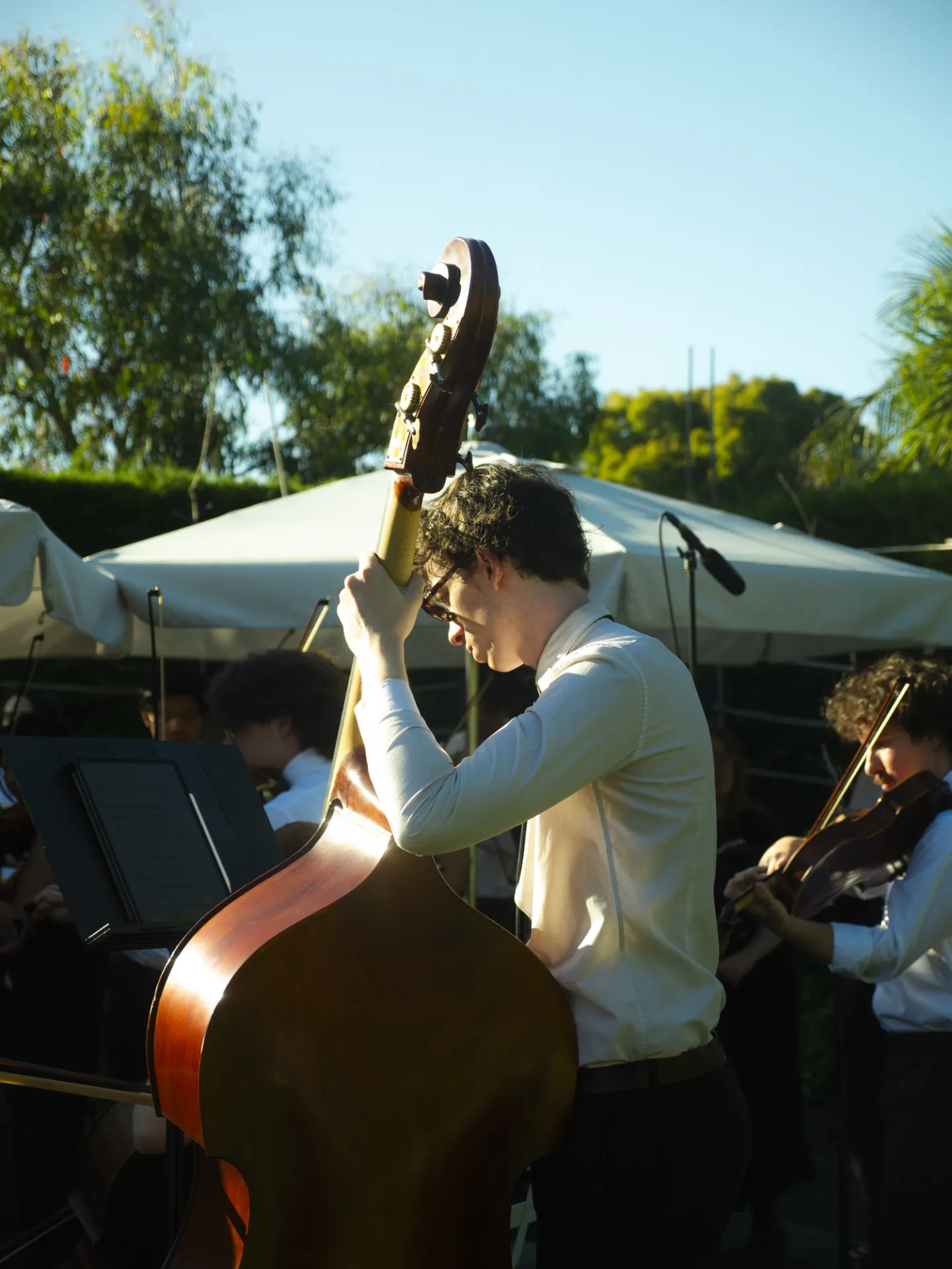 Cedar Collective