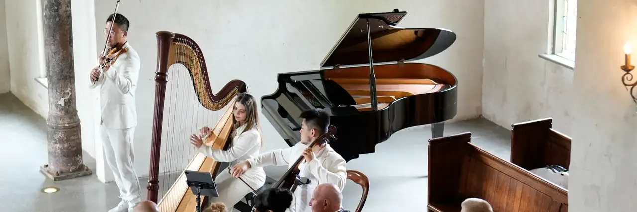Darioviolin & Double Show Entertainment