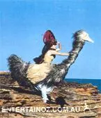 Emu Nomads