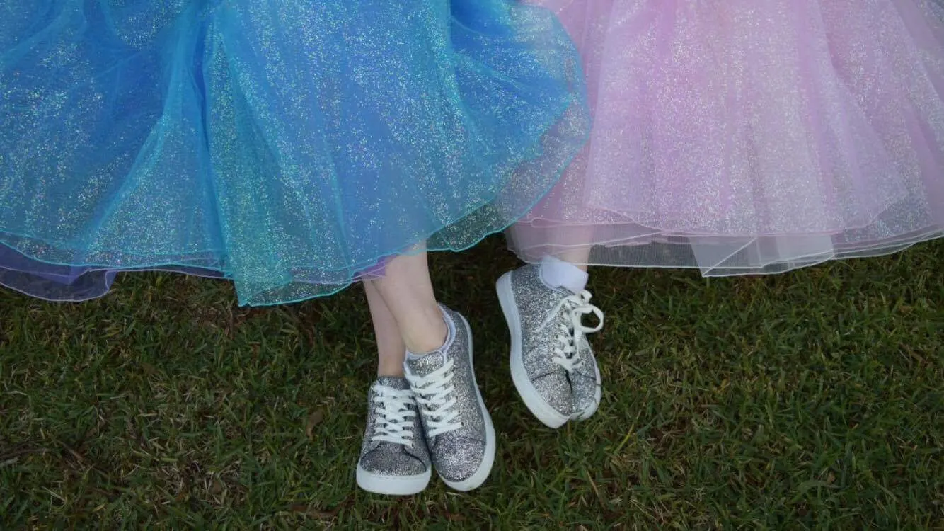 Fairy Wings and Princess Things