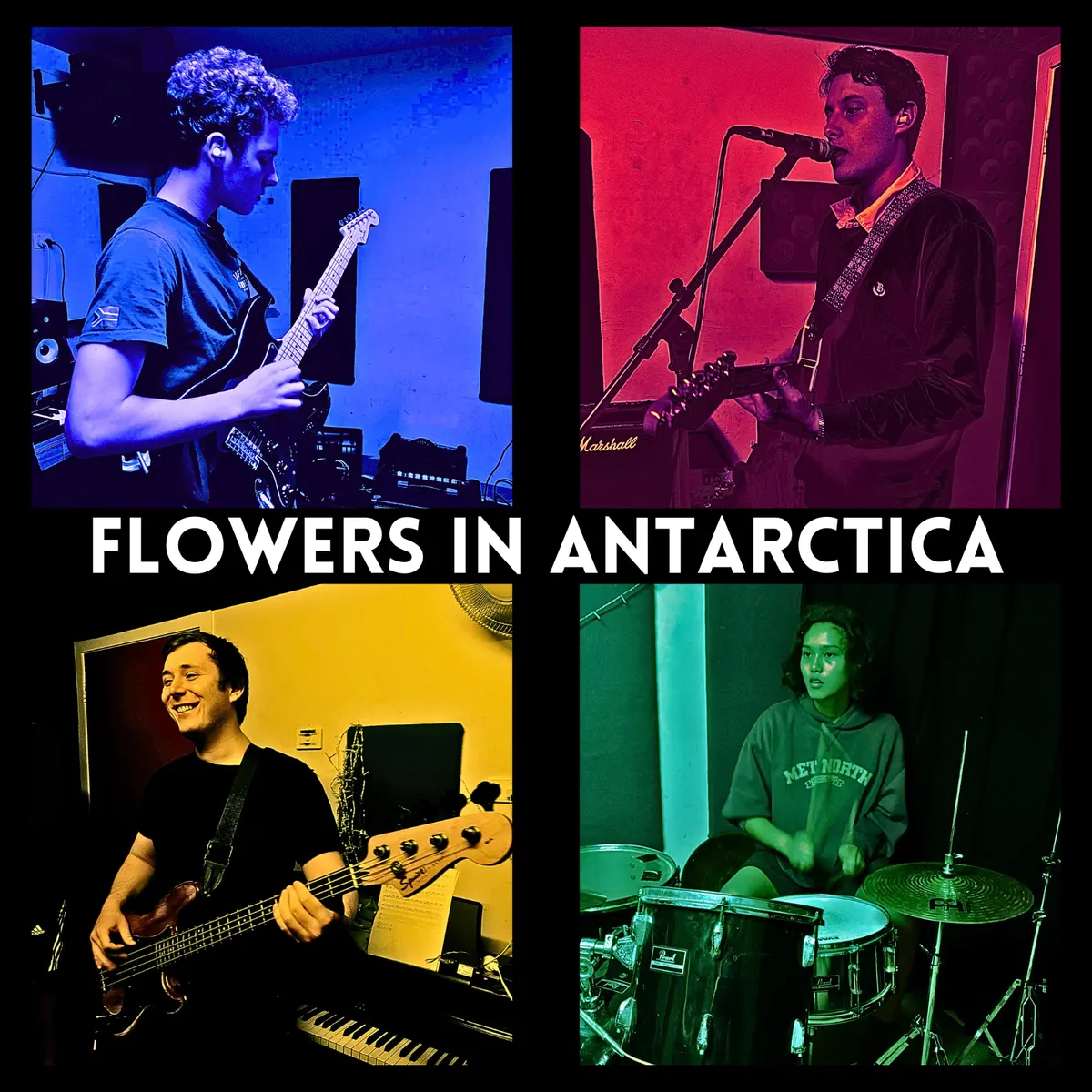 Flowers In Antarctica