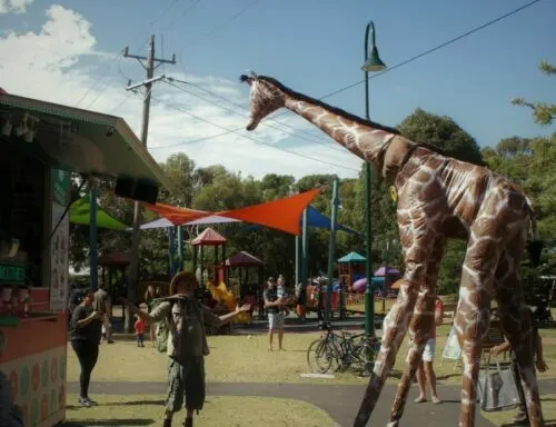 Gemma Giraffe