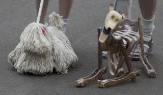 Gone to the Dogs