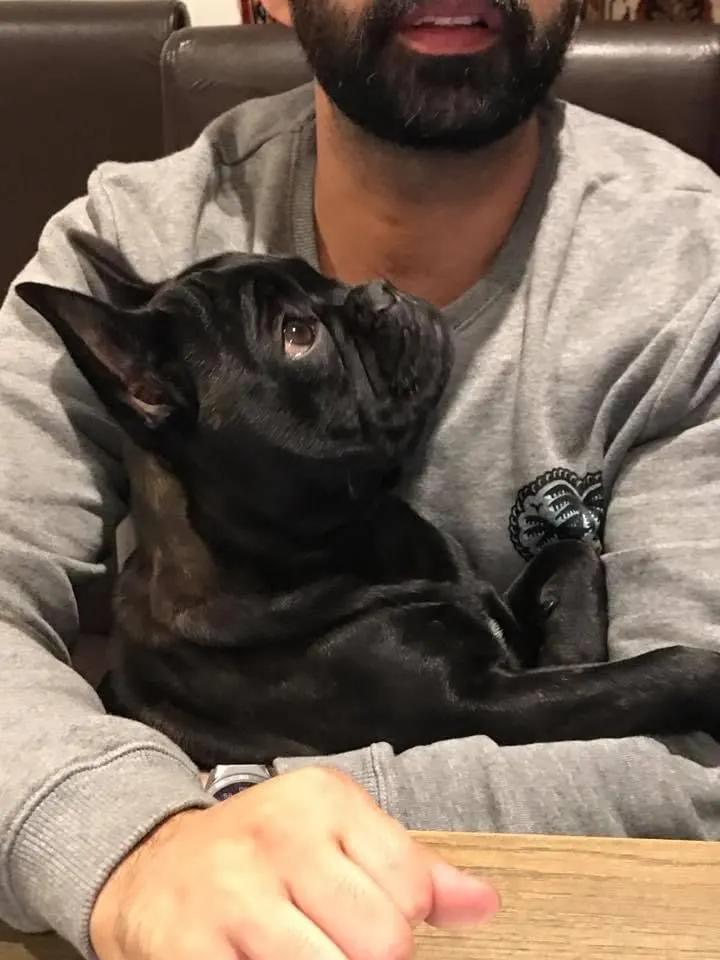 Joubs