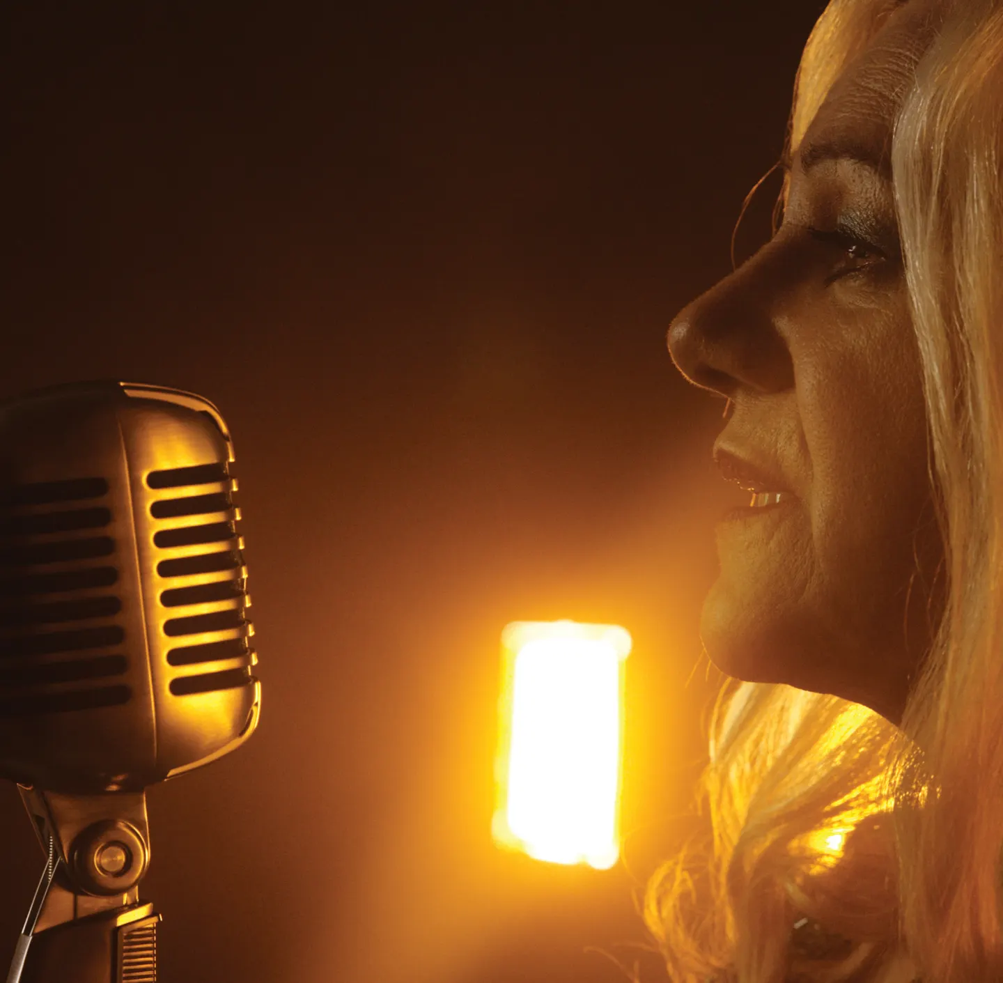 Love Me or Leave Me - A Tribute to Nina Simone