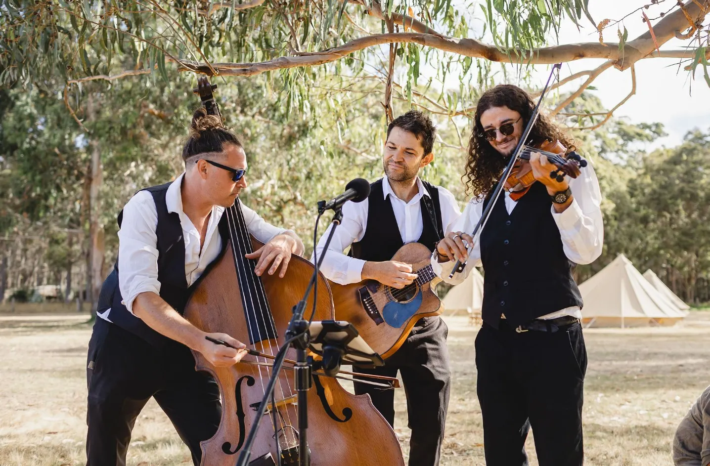 Monty Cotton Band