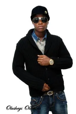 Olushegs