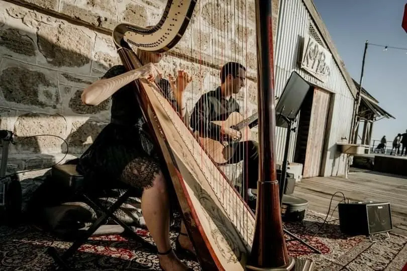 Pluck & Strum