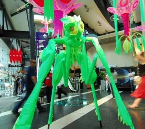 Praying Mantis