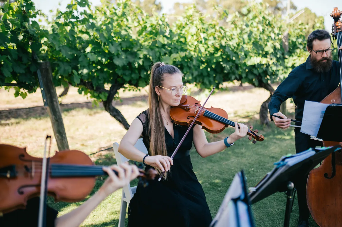 Quartet With A Twist