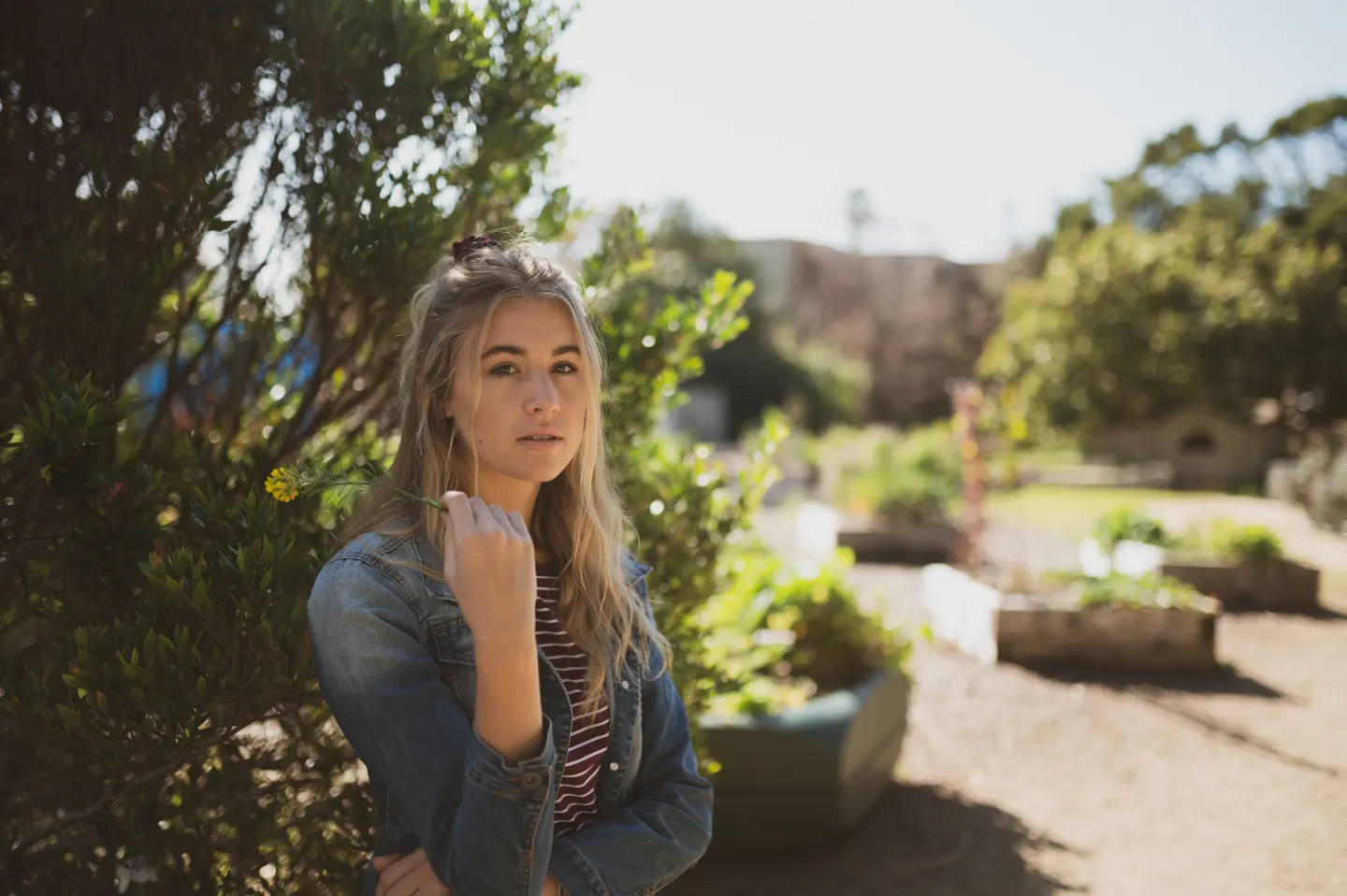 Sophia Berlyn