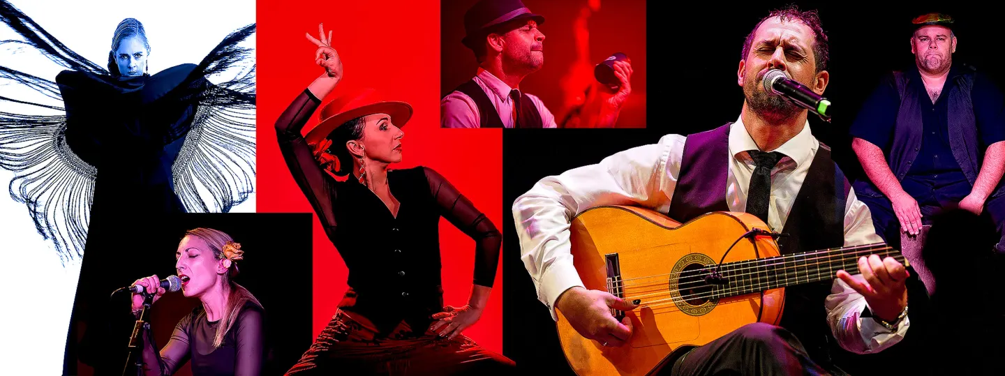 Spanish Flamenco music & dance
