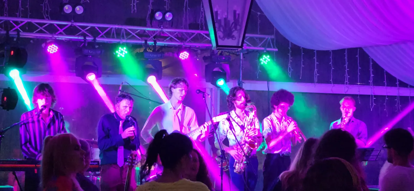 The Wayward Johnsons