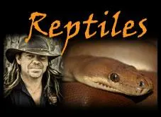 WA Reptiles