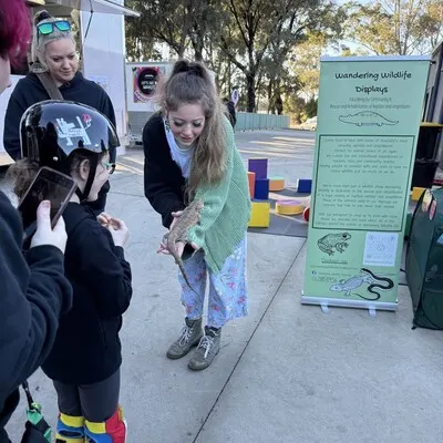 Wandering Wildlife Displays